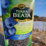 NEW Dried Blueberries 100g